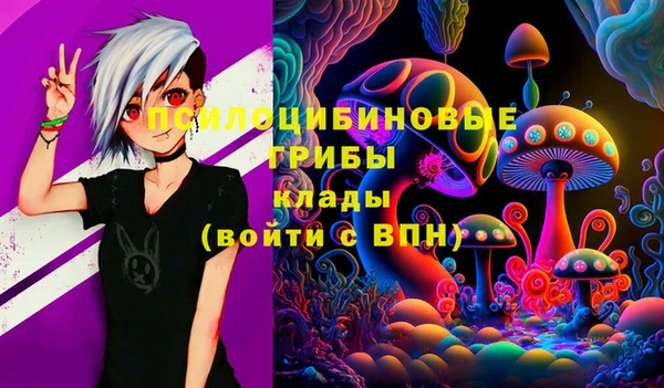 марки lsd Абаза