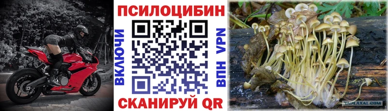 гидра сайт Сусуман Галлюциногенные грибы мицелий